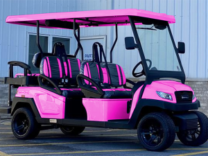 fort pierce golf cart repair, golf cart service, mobile repair